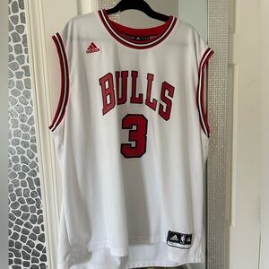 Dwyane Wade Chicago Bulls Jersey